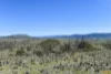 "Muriel's Paddock" Gullies Road, Moonbah, NSW 2627-Image