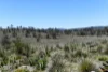 "Muriel's Paddock" Gullies Road, Moonbah, NSW 2627-Image
