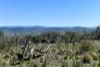 "Muriel's Paddock" Gullies Road, Moonbah, NSW 2627-Image