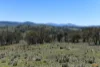 "Muriel's Paddock" Gullies Road, Moonbah, NSW 2627-Image