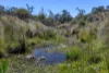 "Muriel's Paddock" Gullies Road, Moonbah, NSW 2627-Image