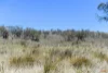 "Muriel's Paddock" Gullies Road, Moonbah, NSW 2627-Image