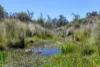 "Muriel's Paddock" Gullies Road, Moonbah, NSW 2627-Image