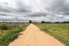 Murphy Road, Koyuga, Vic 3622-Image