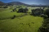- Murray River Road, Pine Mountain, Vic 3709-Image