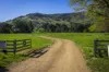 - Murray River Road, Pine Mountain, Vic 3709-Image