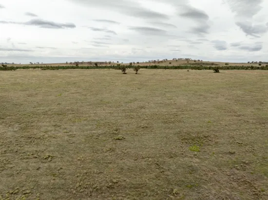 , Narrandera NSW 2700-Image