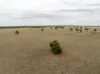 , Narrandera NSW 2700-Image