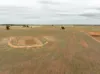 , Narrandera NSW 2700-Image