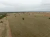 , Narrandera NSW 2700-Image