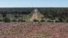 Nimagee Station, 369 Nymagee Station Road, Nymagee, NSW 2831-Image