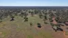 Nimagee Station, 369 Nymagee Station Road, Nymagee, NSW 2831-Image