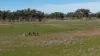 Nimagee Station, 369 Nymagee Station Road, Nymagee, NSW 2831-Image