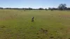 Nimagee Station, 369 Nymagee Station Road, Nymagee, NSW 2831-Image