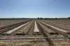 North Logan Road, Cowra, NSW 2794-Image