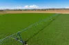 North Logan Road, Cowra, NSW 2794-Image