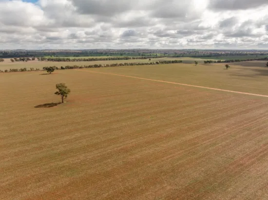 , Old Junee NSW 2652-Image