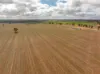 , Old Junee NSW 2652-Image