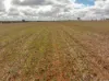 , Old Junee NSW 2652-Image