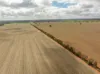 , Old Junee NSW 2652-Image