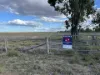 Owens Scrub Road, Millmerran, Qld 4357