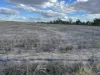 Owens Scrub Road, Millmerran, Qld 4357-Image