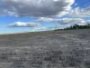 Owens Scrub Road, Millmerran, Qld 4357-Image