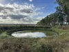 Owens Scrub Road, Millmerran, Qld 4357-Image