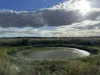 Owens Scrub Road, Millmerran, Qld 4357-Image