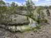 Owens Scrub Road, Millmerran, Qld 4357-Image