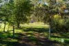 Part 27-33 Mopoke Gully Road, Yapeen, Vic 3451-Image