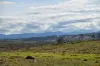 "Part Braeside" Caddigat Road, Dry Plain, NSW 2630