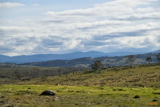 "Part Braeside" Caddigat Road, Dry Plain, NSW 2630