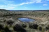 "Part Braeside" Caddigat Road, Dry Plain, NSW 2630-Image