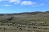 "Part Braeside" Caddigat Road, Dry Plain, NSW 2630-Image