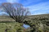 "Part Braeside" Caddigat Road, Dry Plain, NSW 2630-Image