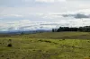 "Part Braeside" Caddigat Road, Dry Plain, NSW 2630-Image