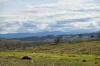 "Part Braeside" Caddigat Road, Dry Plain, NSW 2630-Image