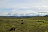 "Part Braeside" Caddigat Road, Dry Plain, NSW 2630-Image