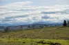 "Part Braeside" Caddigat Road, Dry Plain, NSW 2630-Image