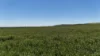 'Pine Hill' Noyces Road, Clements Gap, SA 5523-Image