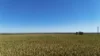 'Pine Hill' Noyces Road, Clements Gap, SA 5523-Image