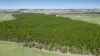 Pittong-Lismore Road, Pittong, Vic 3360-Image