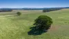 Pittong-Lismore Road, Pittong, Vic 3360-Image