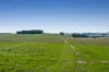 Pittong-Lismore Road, Pittong, Vic 3360-Image