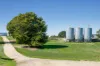 Pittong-Lismore Road, Pittong, Vic 3360-Image