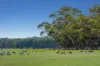 Pittong-Lismore Road, Pittong, Vic 3360-Image
