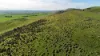 'Pratts' Allotments 876 & 878 Humphris Road, West Bundaleer, SA 5491-Image