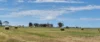 Ratio Downs, Degrussa Road, Gibson WA 6448-Image