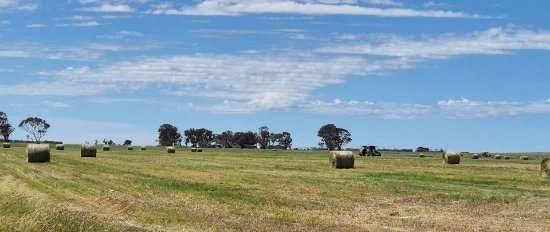 Ratio Downs, Degrussa Road, Gibson WA 6448-Image